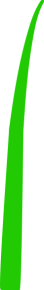 grafika